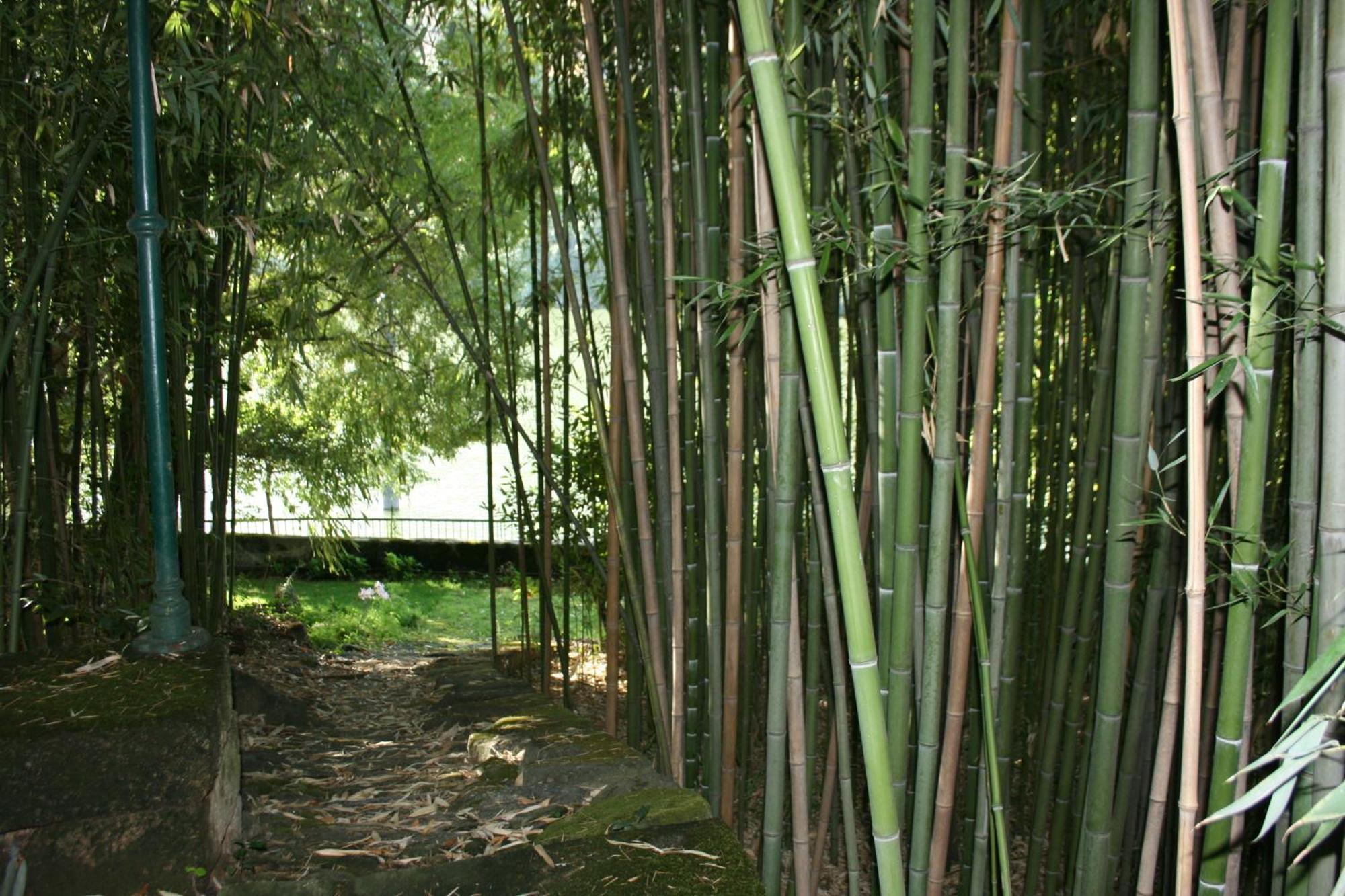 Quinta Da Ermida - Turismo De Habitacao Bed and Breakfast Baião Exteriör bild