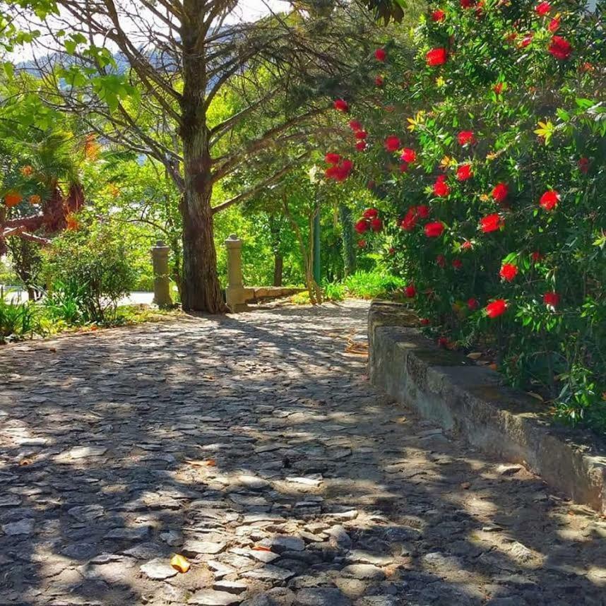 Quinta Da Ermida - Turismo De Habitacao Bed and Breakfast Baião Exteriör bild
